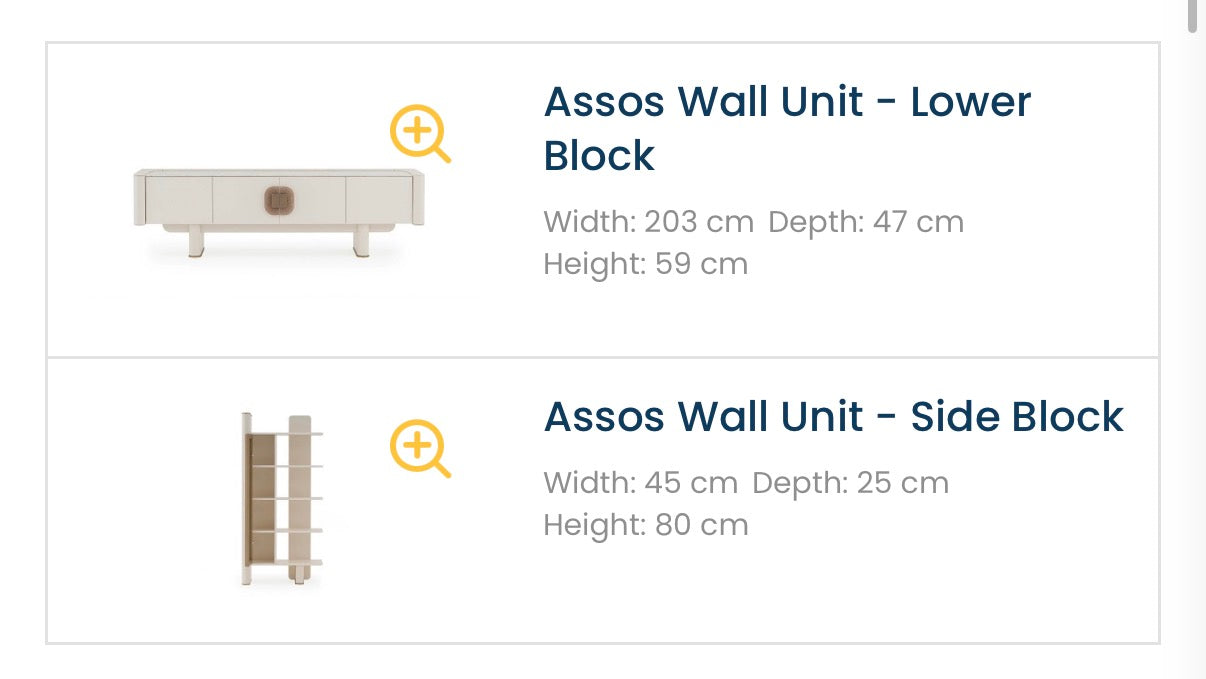 ASSOS TV UNIT