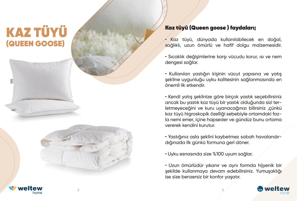 QUEEN GOOSE възглавница