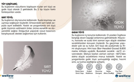 QUEEN GOOSE възглавница