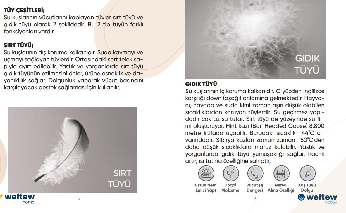 QUEEN GOOSE възглавница